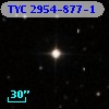 TYC 2954-877-1
