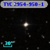 TYC 2954-950-1