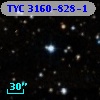 TYC 3160-828-1