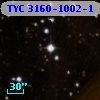 TYC 3160-1002-1