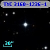 TYC 3160-1236-1