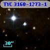 TYC 3160-1273-1