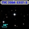 TYC 3160-1317-1