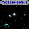TYC 3160-1460-1