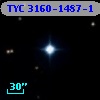 TYC 3160-1487-1