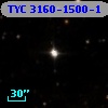 TYC 3160-1500-1