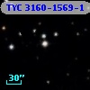 TYC 3160-1569-1