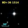 BD+36  1514