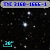 TYC 3160-1666-1