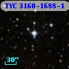 TYC 3160-1688-1