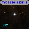 TYC 3160-1836-1