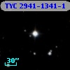 TYC 2941-1341-1