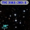 TYC 3161-203-1