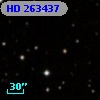 HD 263437