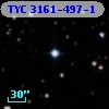 TYC 3161-497-1