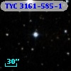 TYC 3161-585-1