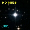 HD  49536