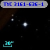 TYC 3161-636-1