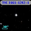 TYC 3161-1282-1
