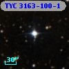TYC 3163-100-1