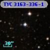 TYC 3163-336-1