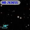 HD 263655
