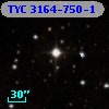 TYC 3164-750-1