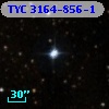TYC 3164-856-1
