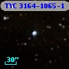 TYC 3164-1065-1