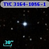 TYC 3164-1086-1