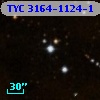 TYC 3164-1124-1