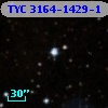 TYC 3164-1429-1