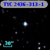 TYC 2436-313-1