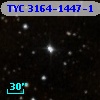 TYC 3164-1447-1