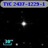 TYC 2437-1229-1