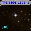 TYC 3164-1606-1