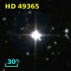 HD  49365