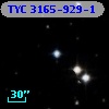 TYC 3165-929-1