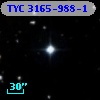 TYC 3165-988-1