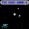 TYC 3165-1000-1