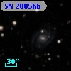 SN 2005hb