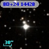 BD+24  1442B