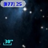 [B77]  25