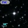 TYC 1339-163-1