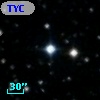 TYC 1339-558-1