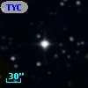 TYC 1343-1699-1