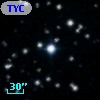 TYC 1343-2131-1