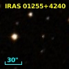 IRAS 01255+4240