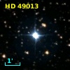 HD  49013
