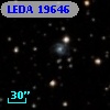 LEDA   19646